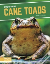 Cane Toads