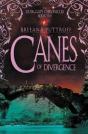 Canes Of Divergence - Preview
