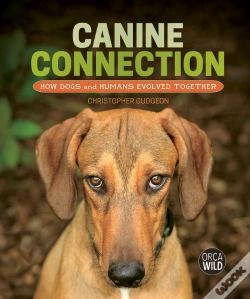 Capa do artigo Canine Connection