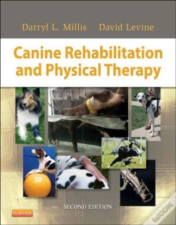 Capa do artigo Canine Rehabilitation And Physical Therapy
