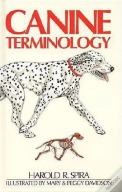 Capa do artigo Canine Terminology