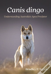 Capa do artigo Canis Dingo