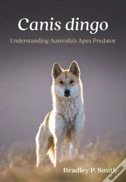 Capa do artigo Canis Dingo