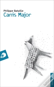 Capa do artigo Canis Major