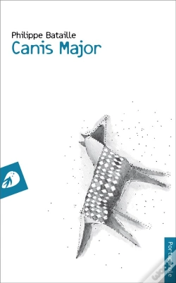 Capa do artigo Canis Major