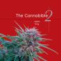 Cannabible 2 - Preview