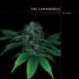 Cannabible - Preview