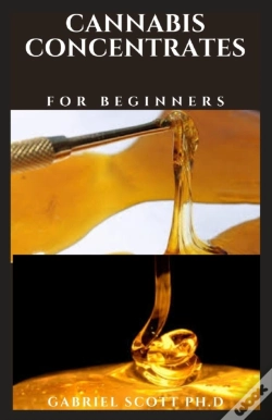 Capa do artigo Cannabis Concentrates For Beginners