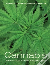 Capa do artigo Cannabis
