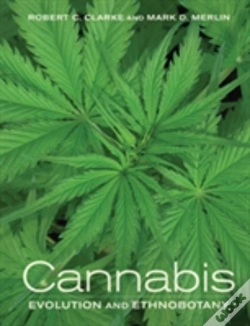 Capa do artigo Cannabis