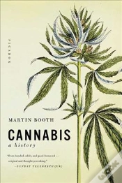 Capa do artigo Cannabis