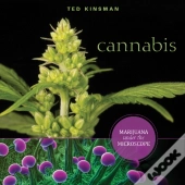 Cannabis