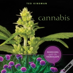 Capa do artigo Cannabis