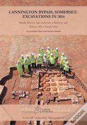 Cannington Bypass, Somerset: Excavations In 2014
