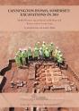 Cannington Bypass, Somerset: Excavations In 2014 - Preview