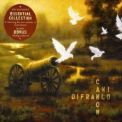 Capa do artigo Canon - CD