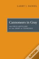 Canoneers In Gray