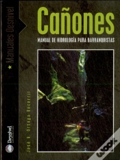 Capa do artigo Cañones