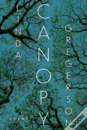 Capa do artigo Canopy