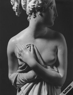 Capa do artigo Canova. Four Tempos: Volume Iii
