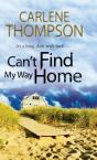 Cant Find My Way Home Large Print - Preview