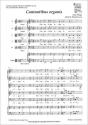Cantantibus Organis - Preview