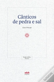Capa do artigo Cânticos de Pedra e Sal
