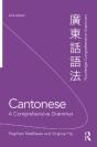 Cantonese: A Comprehensive Grammar - Preview
