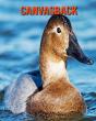 Canvasback - Preview