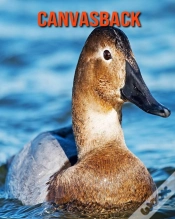 Capa do artigo Canvasback