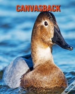 Capa do artigo Canvasback