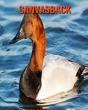 Canvasback - Preview