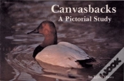 Capa do artigo Canvasbacks
