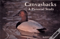 Capa do artigo Canvasbacks