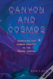 Capa do artigo Canyon And Cosmos