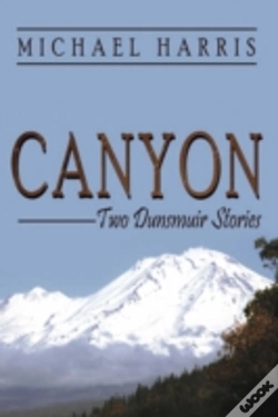 Capa do artigo Canyon