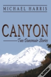 Capa do artigo Canyon