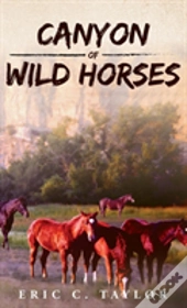 Canyon Of Wild Horses