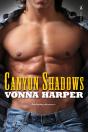 Canyon Shadows - Preview