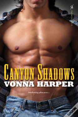 Capa do artigo Canyon Shadows