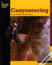 Capa do artigo Canyoneering