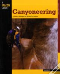 Capa do artigo Canyoneering