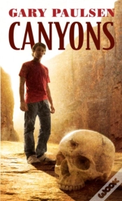 Capa do artigo Canyons