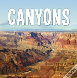 Capa do artigo Canyons