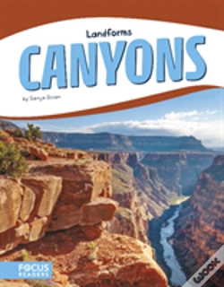 Capa do artigo Canyons