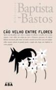 Cão Velho Entre Flores