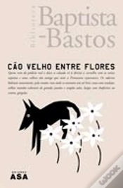 Capa do artigo Cão Velho Entre Flores