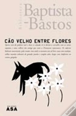 Capa do artigo Cão Velho Entre Flores
