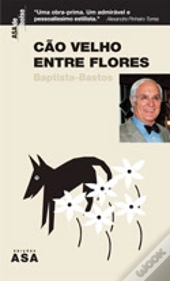 Cão Velho Entre Flores