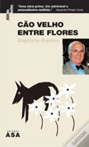 Capa do artigo Cão Velho Entre Flores
